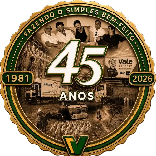 Vale Company — 45 anos, 1981 a 2026